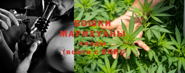 спиды Бронницы
