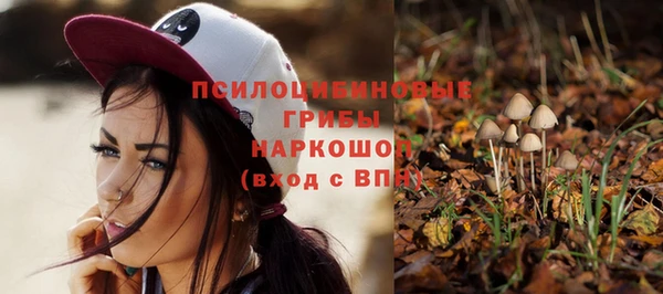 спиды Бронницы