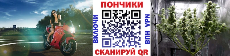 МАРИХУАНА ГИДРОПОН Луза